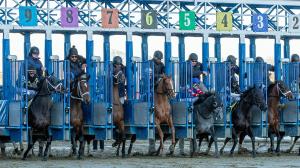 2026 Withers Stakes at a Glance